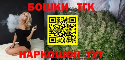 стаф Новодвинск
