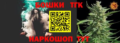 стаф Новодвинск